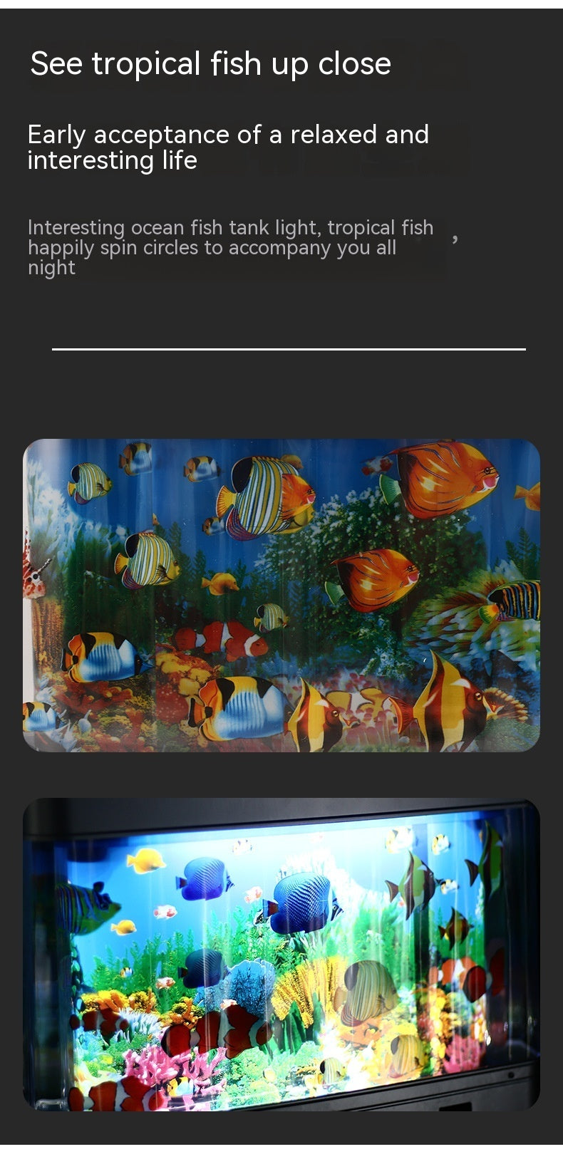 Simulation Ornamental Fish Lamp Home Night Decoration Home Decor by http://Lolyshop.shop